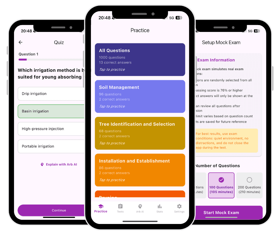 ISA Flashcards App Screenshot